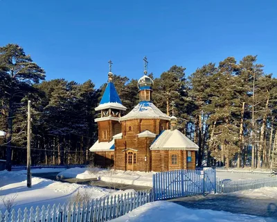 Фотографии.